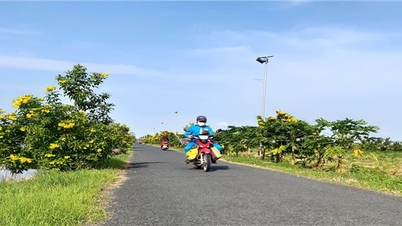 National Target Program 1719 contributes to bringing Phu My to new rural standards