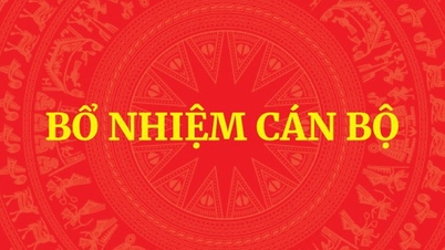 Bổ nhiệm nhân sự tỉnh Bắc Kạn và Đài Truyền hình Việt Nam