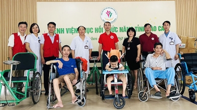 Hội Chữ thập đỏ tỉnh tặng xe lăn cho Bệnh viện Phục hồi Chức năng tỉnh