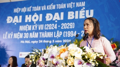 MISA 事務局長が VAA 執行委員会の第 7 期常任委員 (2024-2029 年) に再選