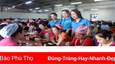 រៀបចំ "អាហារសហជីព" សម្រាប់កម្មករ