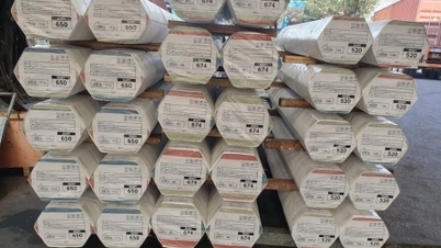 Ống thép Hòa Phát vào được chuỗi bán lẻ của Nhật Bản