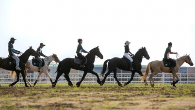 El caballo más alto del mundo nació en la Vinpearl Horse Academy