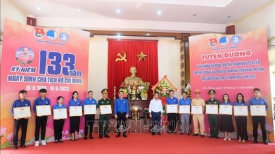 Tuổi trẻ Đà Nẵng xung kích, sáng tạo trong học và làm theo lời Bác