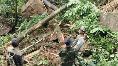 Earthquake causes dozens of large rocks to roll down the village