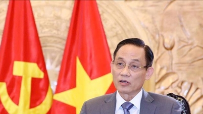 Củng cố nền tảng vững chắc lâu dài cho sự phát triển mạnh mẽ quan hệ Việt Nam