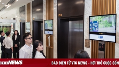 Chicilon Media ខិតខំបង្កើនប្រសិទ្ធភាពធនធានអគារ និងបង្កើនប្រសិទ្ធភាពការផ្សាយពាណិជ្ជកម្ម