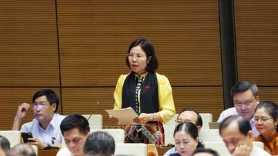 少数民族地域における社会経済開発プログラムと政策の見直し
