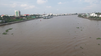 TP. Cần Thơ quản lý hiệu quả tài nguyên nước: Phục vụ mục tiêu