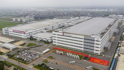 Hai Phong atrae 4.700 millones de dólares de capital de inversión extranjera en 2024