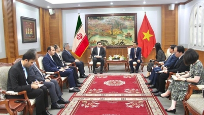 Promoting practical and effective cooperation in culture, sports and tourism