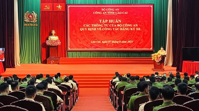 Tập huấn thực hiện các thông tư quy định về cấp, thu hồi, đăng ký biển số xe cơ giới
