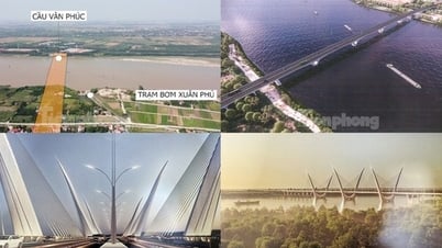 Design images of Van Phuc and Thuong Cat bridges will start construction in 2024