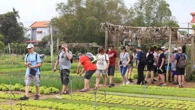Phát triển du lịch gắn với bảo tồn đa dạng sinh học
