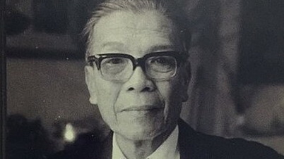 Who is the youngest dual doctor of Vietnam and France?