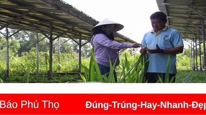 Kinh tế tuần hoàn hướng tới mục tiêu xanh hóa các ngành kinh tế