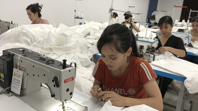 Tạo đột phá trong đào tạo nghề để phát triển nông nghiệp, nông thôn bền vững