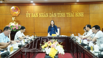 Phương án quy hoạch Di tích quốc gia đặc biệt Khu lăng mộ và đền thờ các vị vua triều Trần