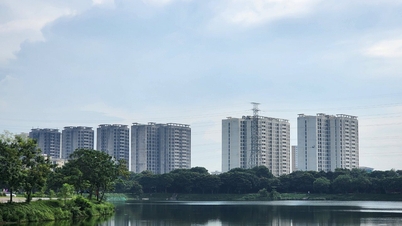 Nghị định ra đời từ sự lắng nghe