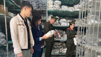 Phát hiện kho hàng gần 6.000 đôi giày nghi giả nhãn hiệu Nike, Adidas ở Phú Thọ