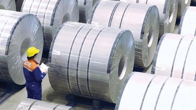 EU gia hạn biện pháp tự vệ thép thêm 2 năm