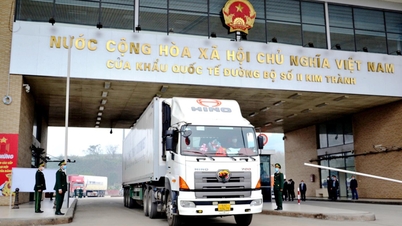 Economy - Trade: A bright spot in Vietnam - China cooperation