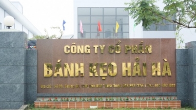 Một công ty quản lý quỹ bất ngờ mua hơn 18% vốn Bánh kẹo Hải Hà