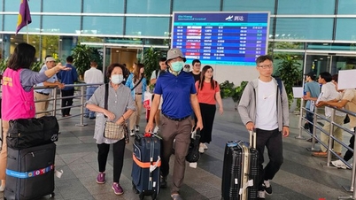 Đà Nẵng đón 8,7 triệu lượt khách lưu trú trong 9 tháng năm 2024