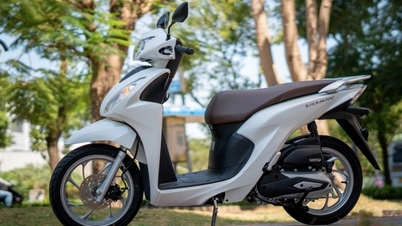 Vision 2025 នឹងមកដល់ឆាប់ៗនេះ?