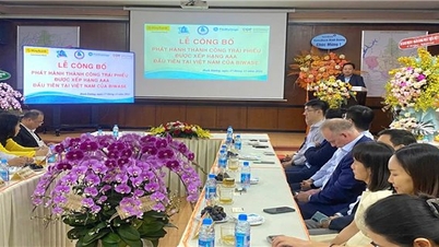មូលបត្របំណុលសាជីវកម្មដំបូងរបស់វៀតណាមបានវាយតម្លៃ AAA