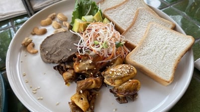 ភ្ញៀវ​បរទេស៖ តើ​វា​ងាយ​ស្រួល​ក្នុង​ការ​ទទួល​ទាន​អាហារបួស​នៅ​វៀតណាម​ទេ?