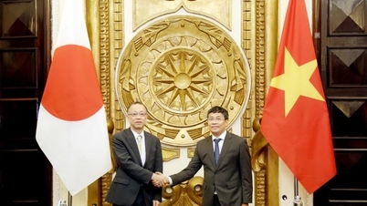 Promoting the concretization of the Vietnam - Japan Comprehensive Strategic Partnership framework
