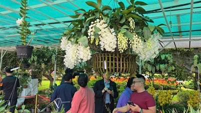 រីករាយទស្សនាកម្រងផ្កា និងរុក្ខជាតិលម្អរាប់ពាន់មុខ...