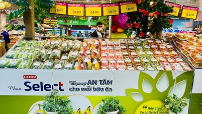 បន្ថែម Co.opmart ថ្មីនៅទីក្រុងហូជីមិញ