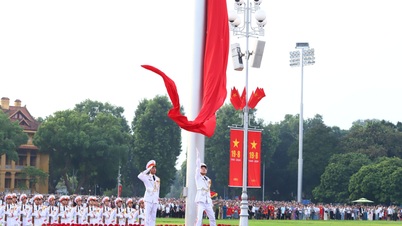 Văn hoá và lịch sử Việt Nam qua góc nhìn quốc tế