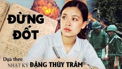 63 phim tham dự Liên hoan phim châu Á Đà Nẵng 2024