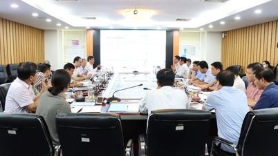 Thẩm định các đề án thăm dò khoáng sản tại 3 địa phương