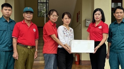 Hội Chữ thập đỏ tỉnh Phú Thọ là đầu mối tiếp nhận hàng cứu trợ Nhân dân bị thiệt hại do bão số 3