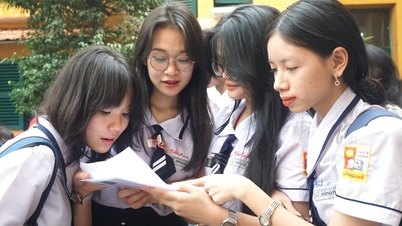 Vì sao tách học sinh chuyên trong kỳ thi học sinh giỏi?