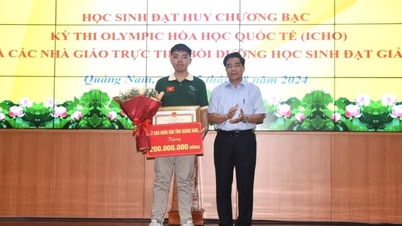 Quang Nam recompensa con 200 millones de dongs a un estudiante que ganó una medalla de plata olímpica.