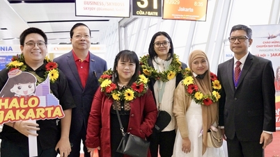 Vietjet opens two more routes to Jakarta and Busan