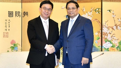 Nhà sản xuất máy bay Trung Quốc muốn đưa tàu bay thân hẹp bay chặng Côn Đảo