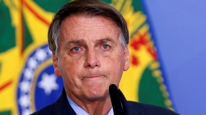 Cựu Tổng thống Brazil bị điều tra vì chọc giận cá voi