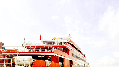 High-speed ferry route from Ho Chi Minh City to Con Dao temporarily suspended: Inadequate port conditions and road connections?