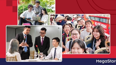 Câu chuyện đầu tư cho trải nghiệm người học