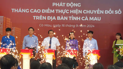 ចាប់ផ្តើមខែកំពូលនៃការផ្លាស់ប្តូរឌីជីថលនៅក្នុងខេត្ត Ca Mau