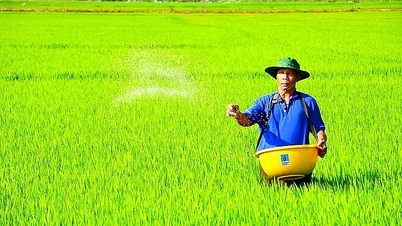 Vì sao nói áp thuế VAT phân bón 5% nông dân được thụ hưởng?