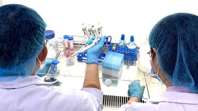 Nhà xuất bản vừa bị xóa sổ có nhiều tạp chí được Hội đồng Giáo sư nhà nước tính điểm