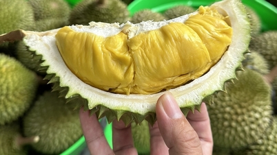 Xuất khẩu rau quả tăng đột biến