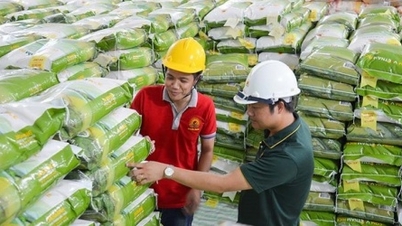 Lộc Trời xin hoãn nộp báo cáo quý II để tập trung xử lý vấn đề tài chính